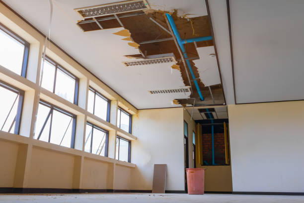 Best Local water damage restoration  in Fountain Hills, AZ