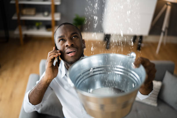 Best Residential water damage restoration  in Fountain Hills, AZ