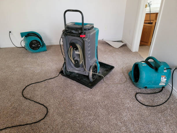 Best Flood damage cleanup  in Fountain Hills, AZ