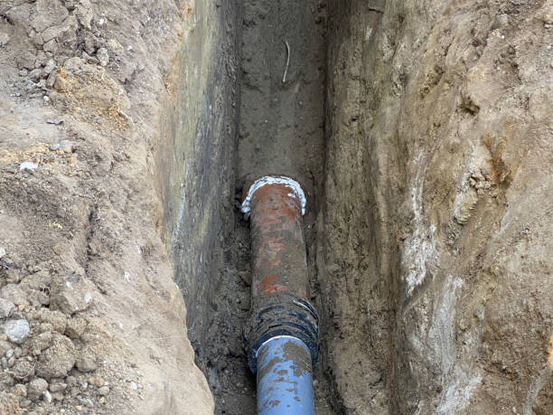 Best Flood restoration services  in Fountain Hills, AZ