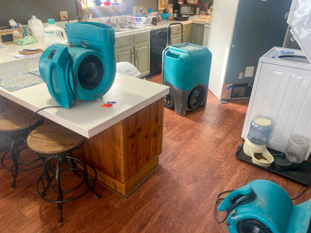 Best 24-hour water damage restoration  in Fountain Hills, AZ