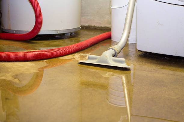 Best Carpet water damage restoration  in Fountain Hills, AZ