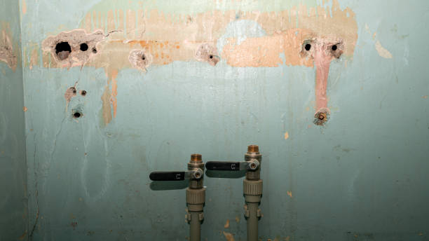 Best Mold removal after water damage  in Fountain Hills, AZ