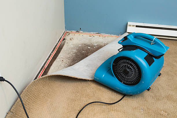 , AZ Water damage restoration Company